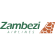 Zambezi Airlines